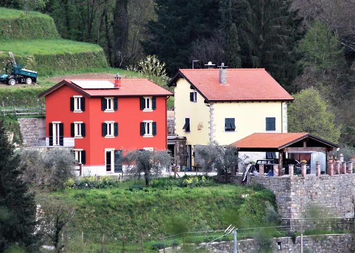 La Pezzuola 53