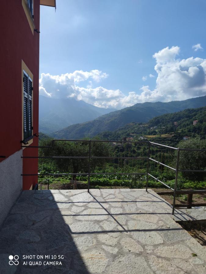 La Pezzuola 53 *