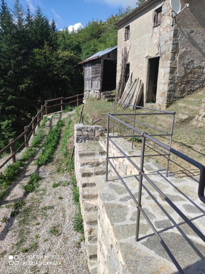 La Pezzuola 53 Sopralacroce