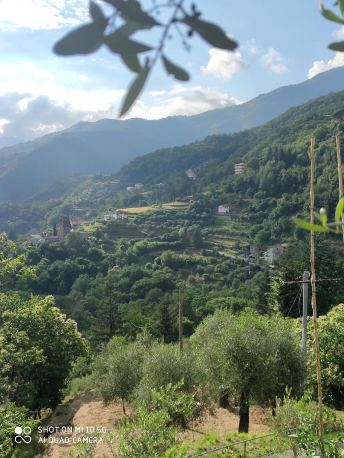 La Pezzuola 53 Holiday home